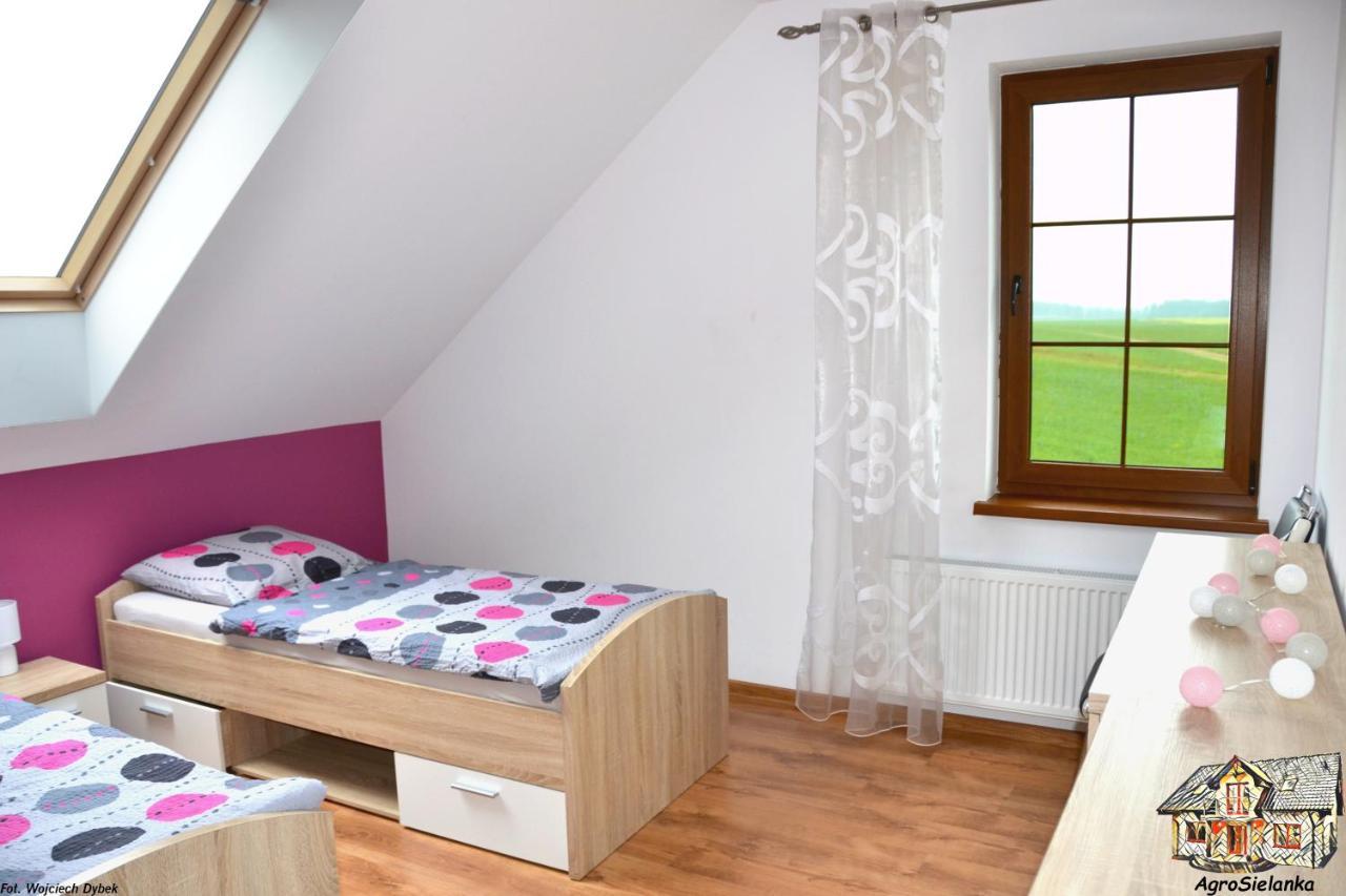 Agrosielanka Villa Lipnica  Dış mekan fotoğraf