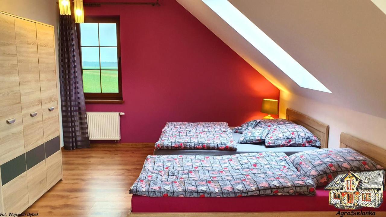 Agrosielanka Villa Lipnica  Dış mekan fotoğraf