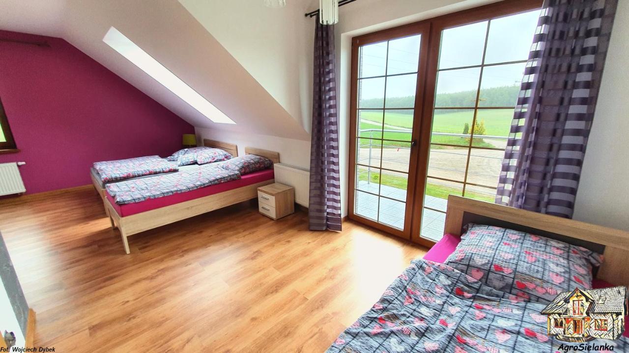 Agrosielanka Villa Lipnica  Dış mekan fotoğraf